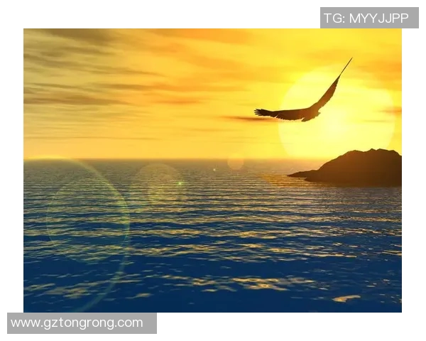 恩佐的成长之路:从梦想起航到实现自我价值的探索与奋斗 恩佐的成长之路:从梦想起航到实现自我价值的探索与奋斗