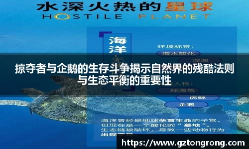 掠夺者与企鹅的生存斗争揭示自然界的残酷法则与生态平衡的重要性
