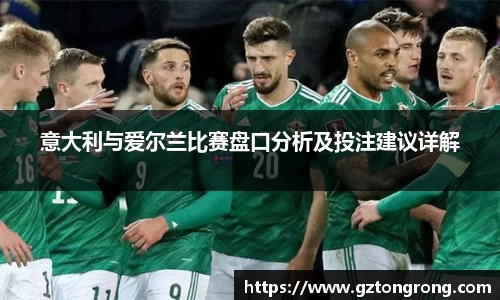 意大利与爱尔兰比赛盘口分析及投注建议详解