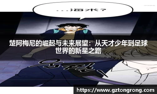 k1体育