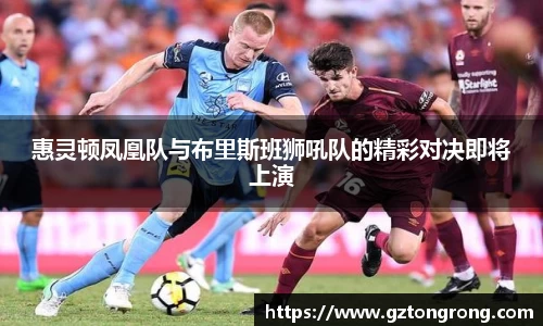 惠灵顿凤凰队与布里斯班狮吼队的精彩对决即将上演
