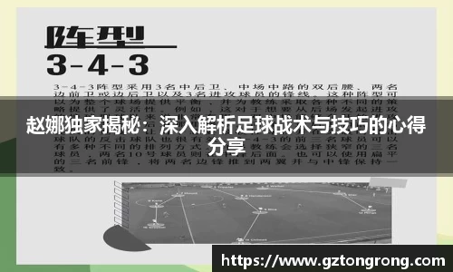 赵娜独家揭秘：深入解析足球战术与技巧的心得分享