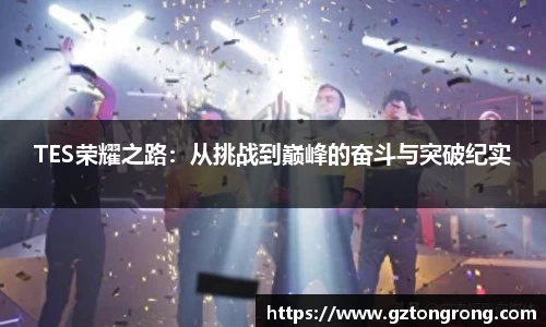 TES荣耀之路：从挑战到巅峰的奋斗与突破纪实